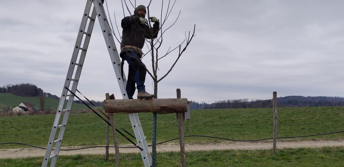 15.März: erster Aktionstag im&nbsp;2025