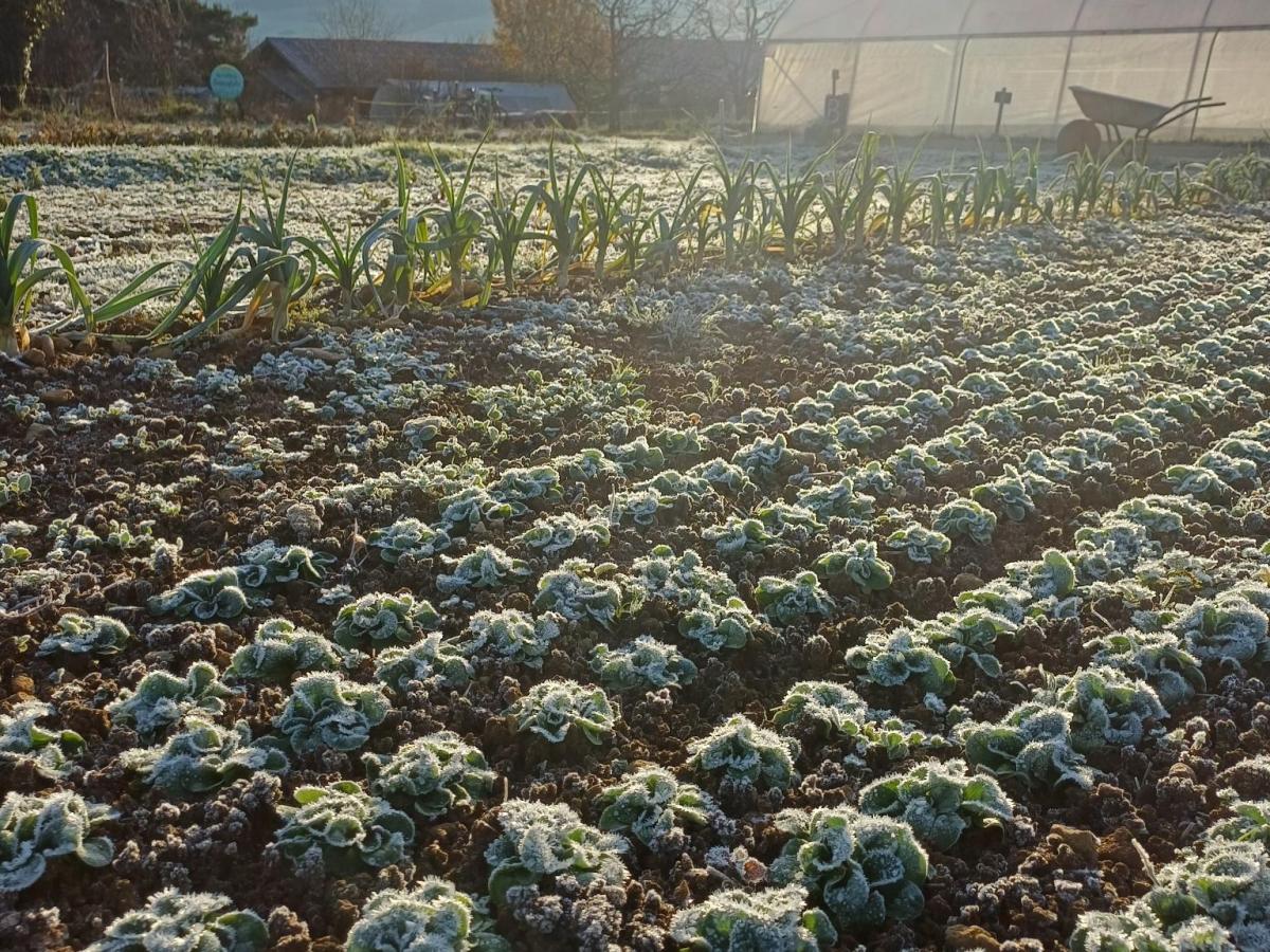 Donnerstag, 20.November 2025