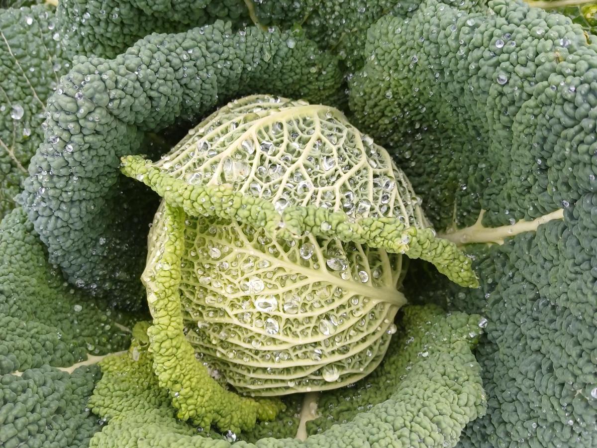 Donnerstag, 27.November 2025