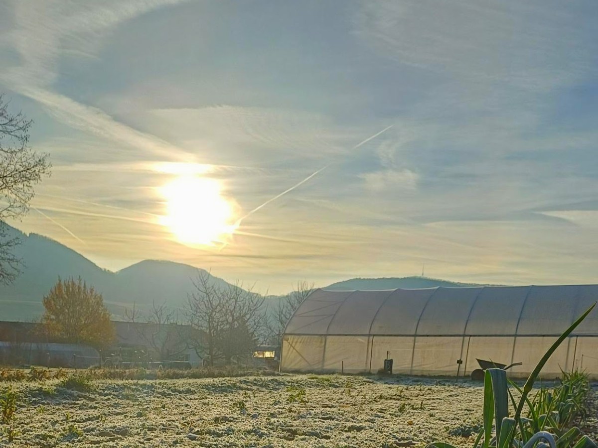 Donnerstag, 11.Dezember 2025