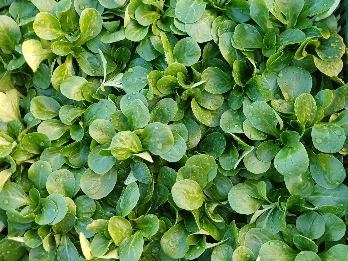 Donnerstag, 4.Dezember 2025