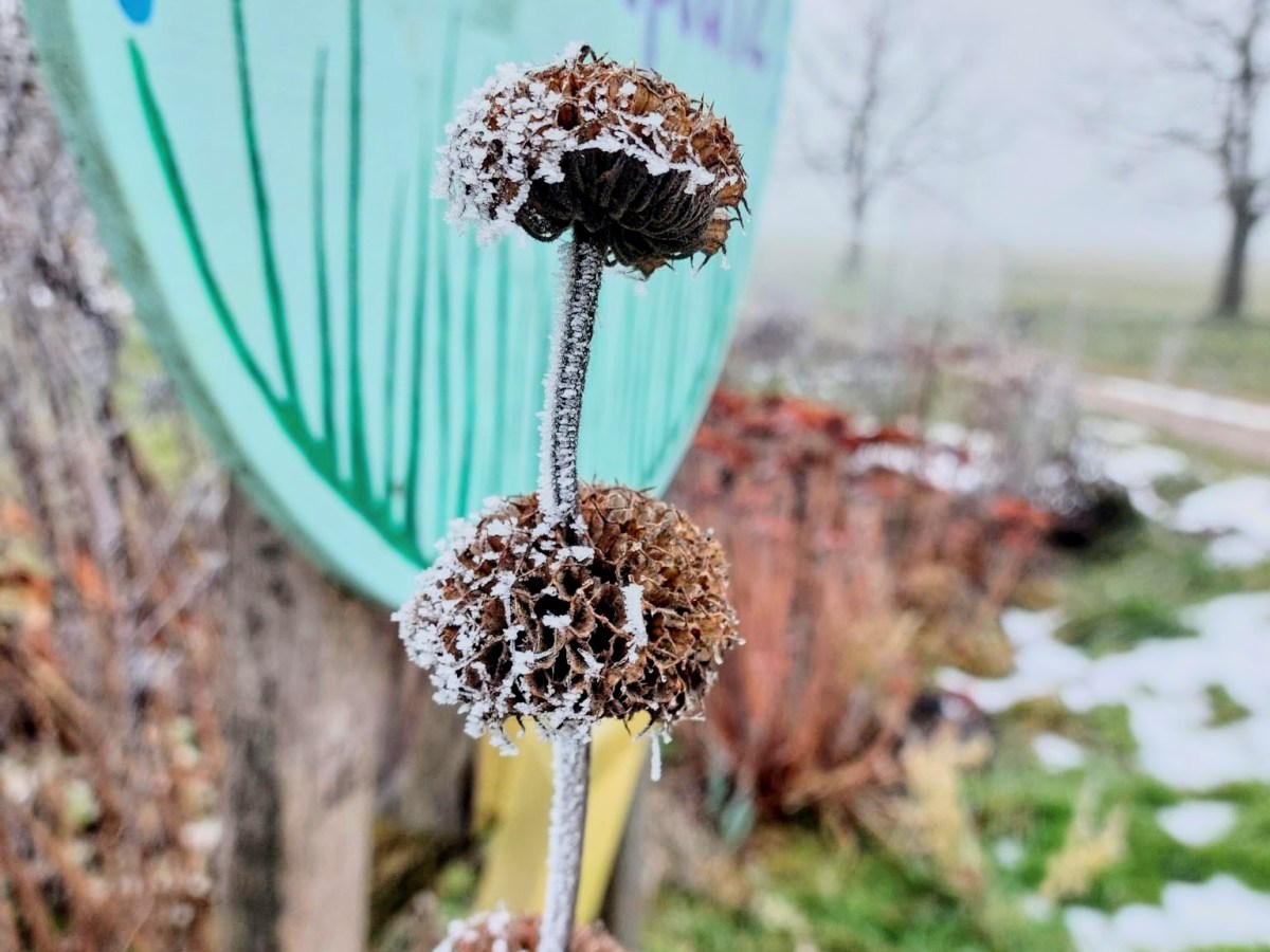 Donnerstag, 22.Januar 2026