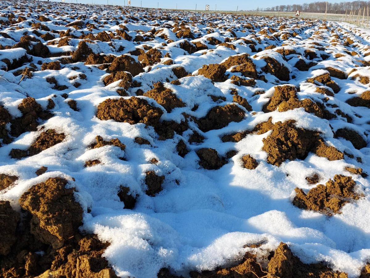 Donnerstag, 8.Januar 2026