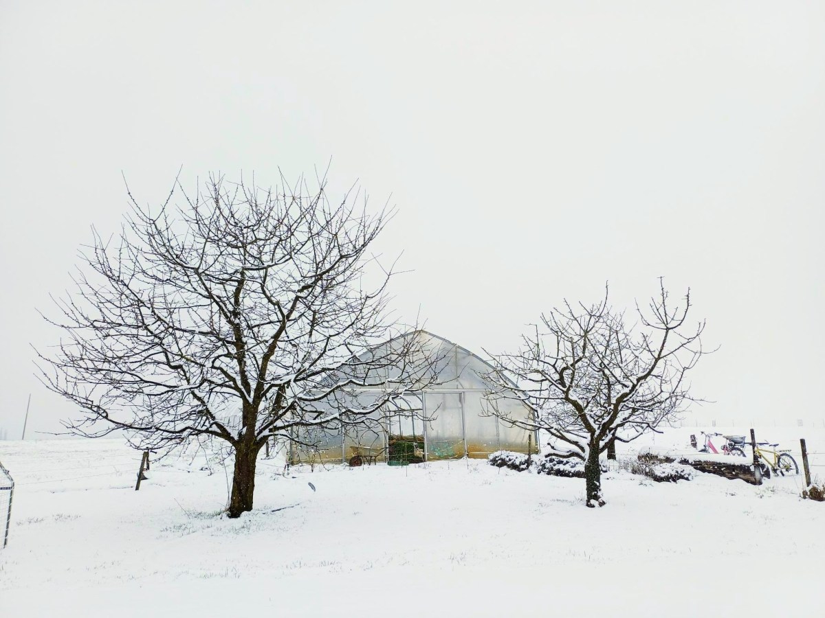 Donnerstag, 19.Februar 2026