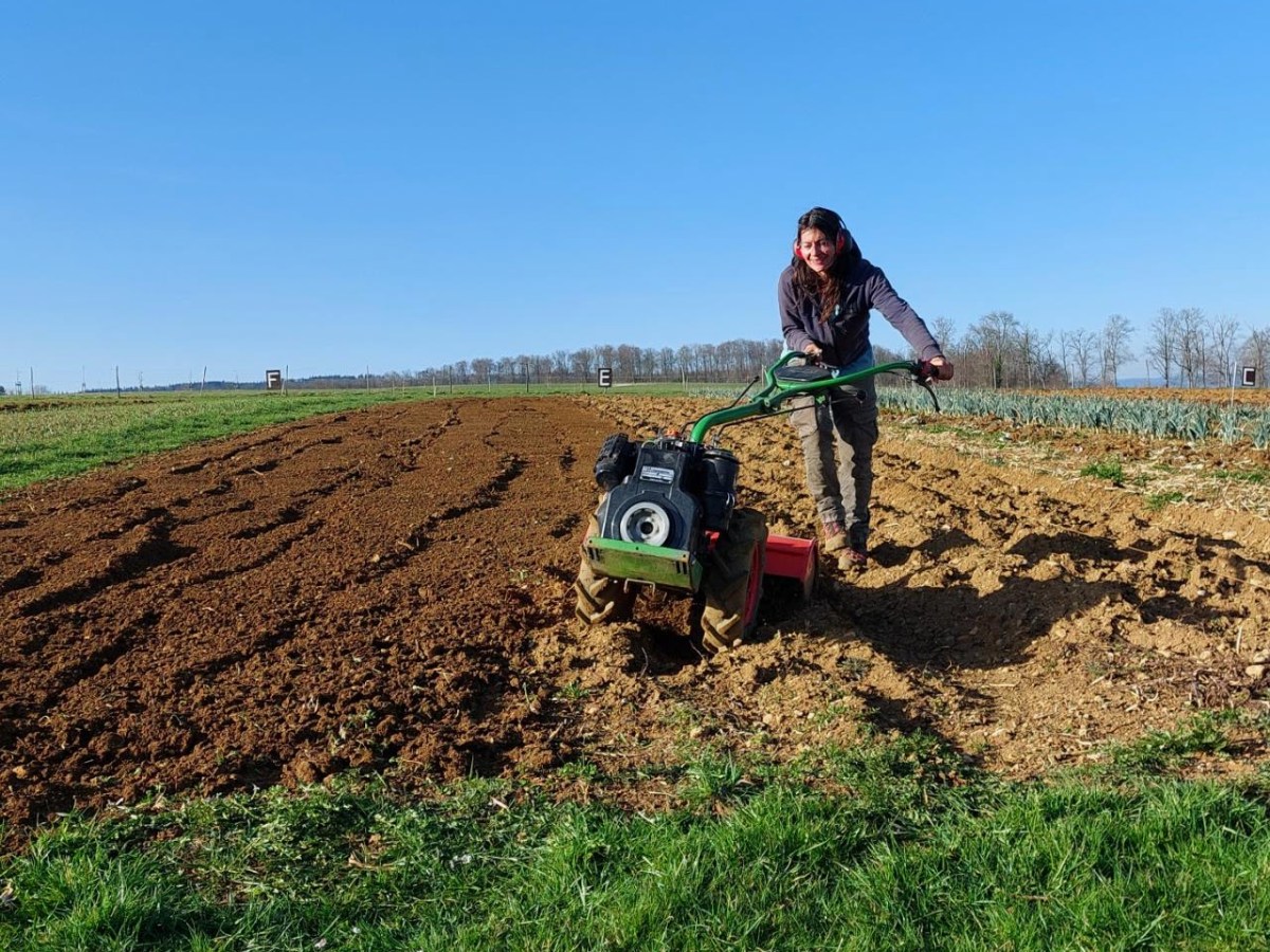Donnerstag, 5.März 2026