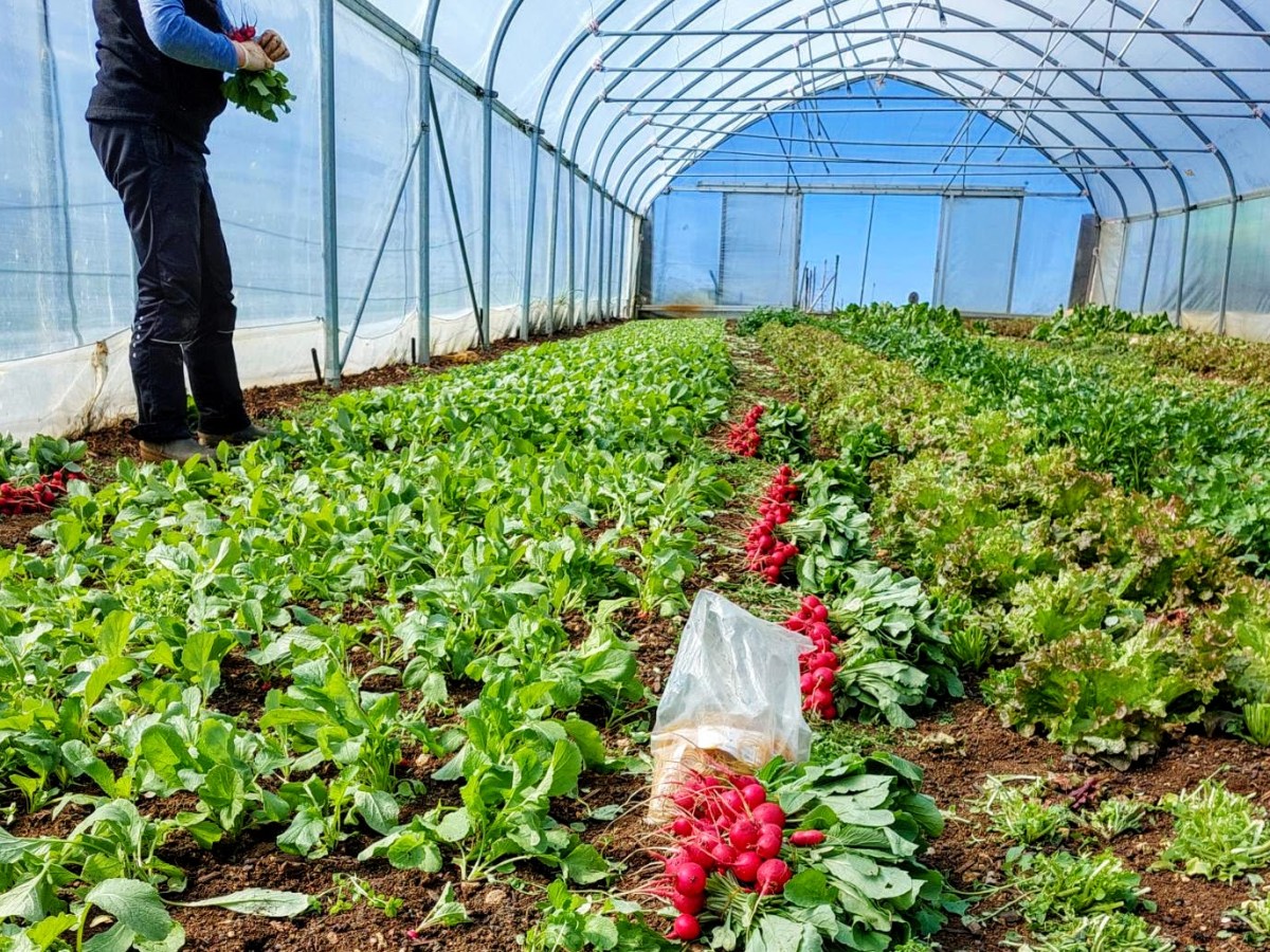 Donnerstag, 19.März 2026