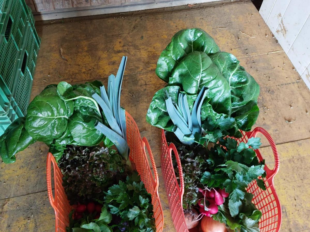 Donnerstag, 2.April 2026